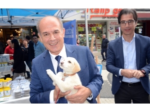 Büyükşehir Hayvanları Unutmadı