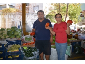 Domateste Düşüş Beklenmiyor