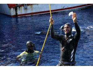 Derya Can, Dünya Üçüncüsü Oldu