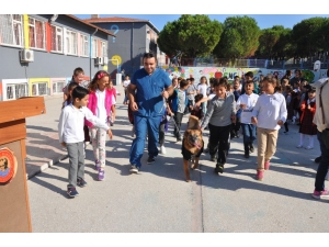 Öğrencilerden Köpeğe Mektup