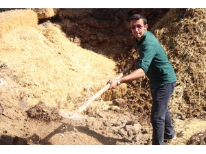 Yağmur Yağınca Nöbet Tutuyor