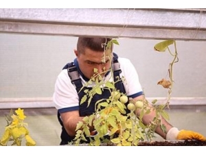 Özel Öğrenciler Yetiştirdikleri Ürünleri Toplamanın Heyecanını Yaşadı