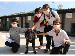 Öğrenciler Can Dostları Ziyaret Etti