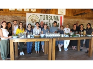 Turşuda Sirke Mi Yoksa Limon Tuzunun Mu Daha Yararlı Olduğu Araştırılacak