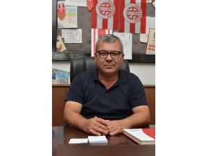 Sera Üretimi, Domates Fiyatlarını Düşürecek