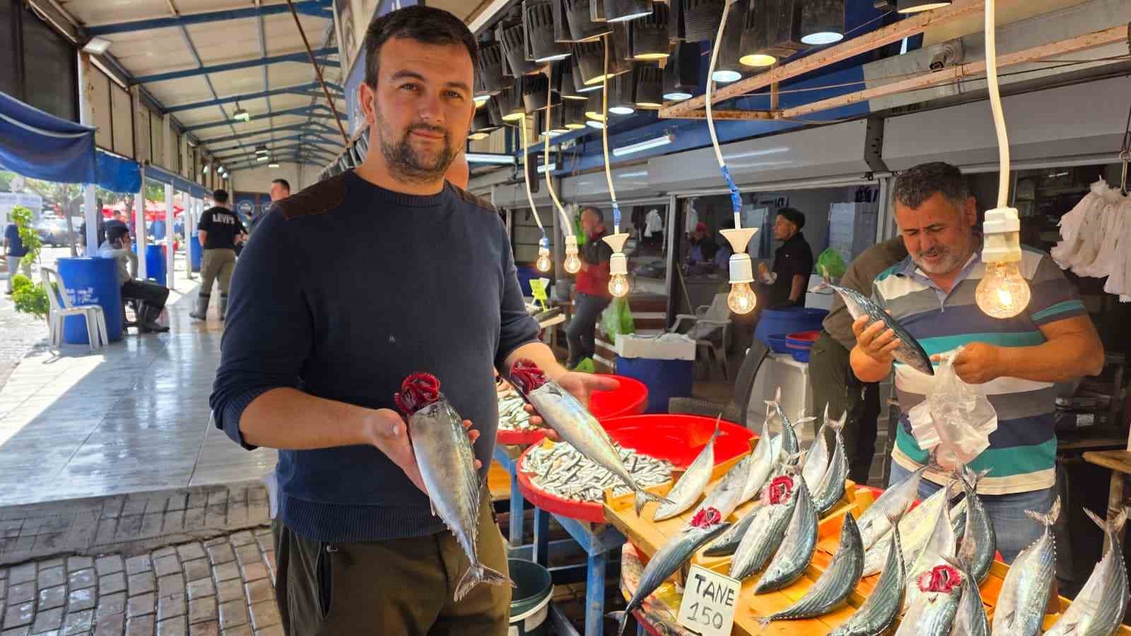 bandirma-da-balik-tezgahlarinda-palamut-bereketi