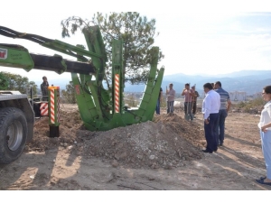 Emet Belediyesi’nden Ağaçlandırma Çalışmaları