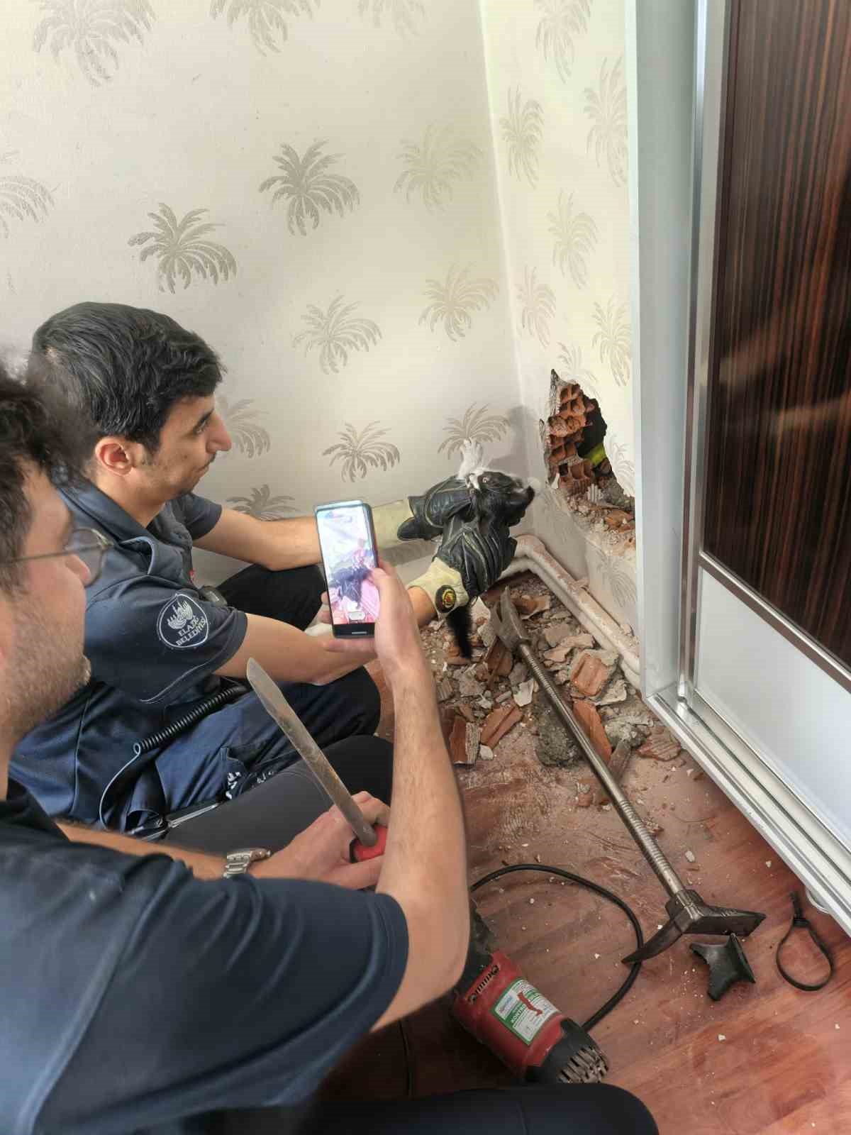 baca-boslugunda-mahsur-kalan-yavru-kedi-kurtarildi
