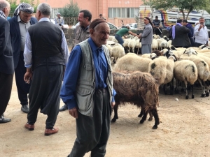 Yaşlı Adamın Yola Kaçan Topa Merakı Renkli Görüntüler Oluşturdu