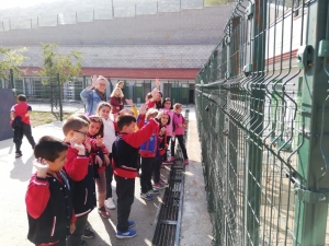 Minik Öğrencilerden Hayvan Barınağına Ziyaret