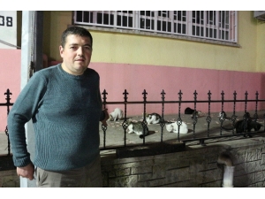 Sokak Kedilerine 4 Yıldır Kilolarca Et Dağıtıyor