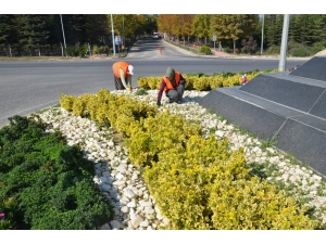 Park Ve Bahçelerdeki Çalışmalarla Bilecek Güzelleşiyor