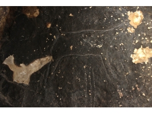 Taş Devri İnsanları Tarafından 42 Bin Yıl Önce Çizildi