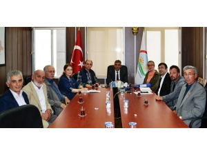 Fındıkta Rehabilitasyon Projesi Hayata Geçiyor