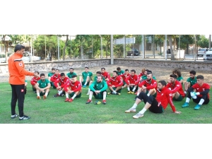 Salihli’de Gülbahçe Mesaisi Başladı