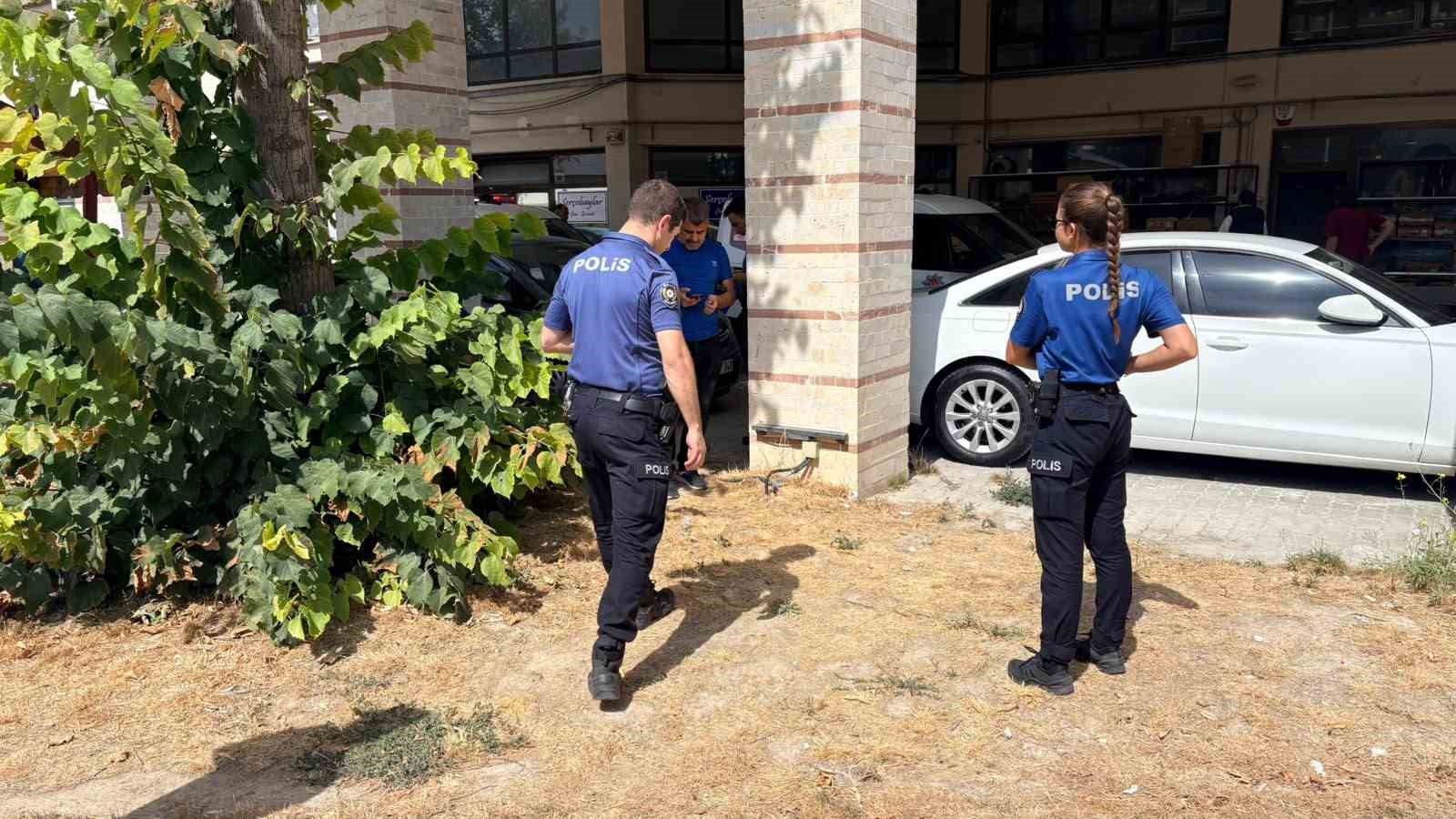 esnafin-besledigi-kedi-bacaklari-kesilmis-halde-bulundu