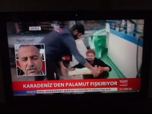 Vali Balkanlıoğlu Pamukova’da İncelemelerde Bulundu