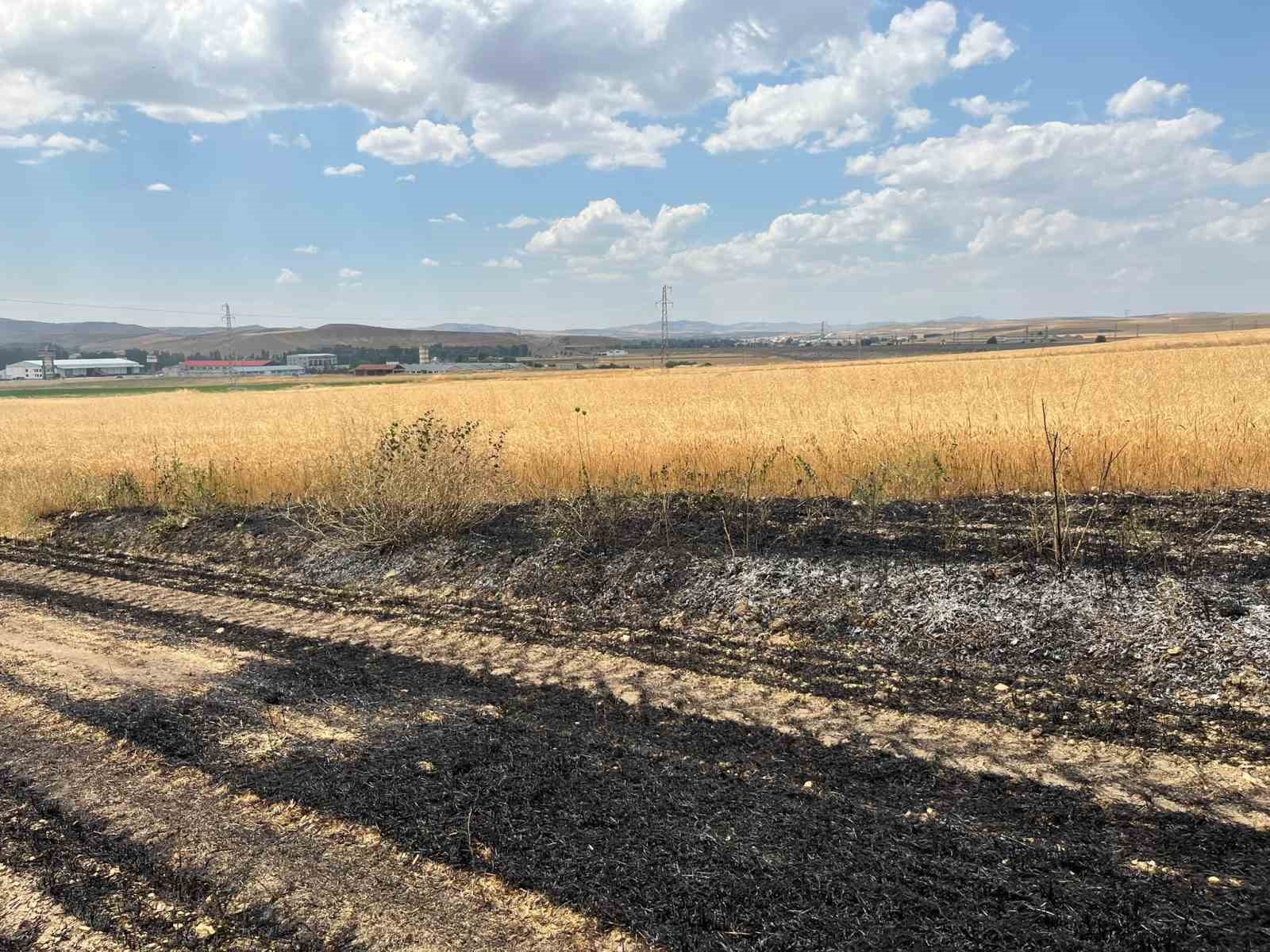 yozgat-ta-yaklasik-10-donum-ekili-arazi-yandi