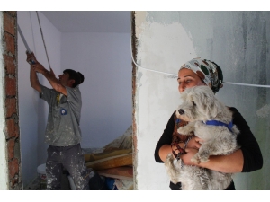 Antalya’da Yangından, ’Cesur’ Köpeğin Kurtardığı Aileye Yardım Eli