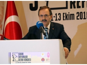 “3. Sokak Hayvanları Refahı Kongresi” Başladı