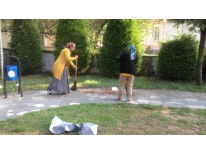 Düzce Parklarında Temizlik Atağı