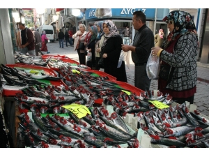 İnebolu’da Palamut 2 Liraya Düştü