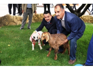 Tarım Ve Orman Bakanı Pakdemirli Malatya’da