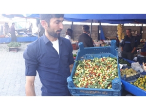 Şifa Kaynağı Hünnap Pazara İndi