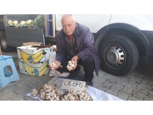Sarımsak Satarak Geçimini Sağlıyor