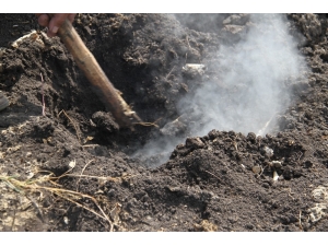 Yanan Toprak Görenleri Şaşırtıyor