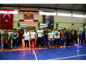 Bitlis’te Türkiye Wushu Kung Fu Turnuvası Düzenlendi