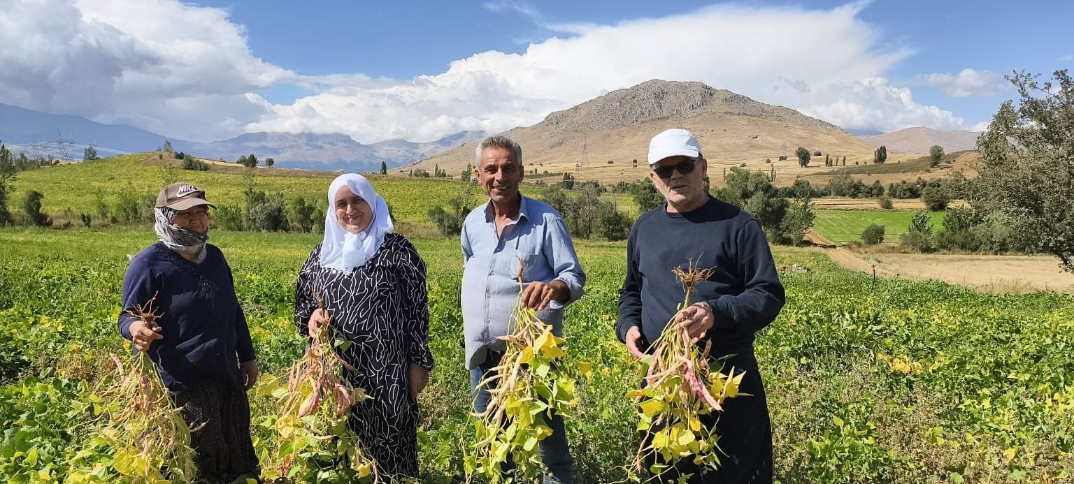 cografi-isaretli-kuru-fasulye-hasadi-basladi