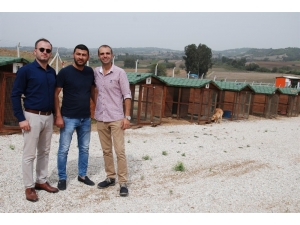 Üç Doğa Ve Hayvansever Pet Otel Kurdu
