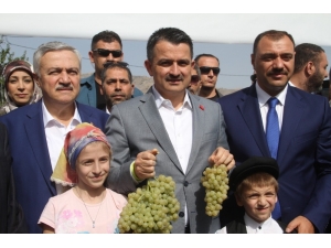 Bakan Pakdemirli’den Mısır Üreticilerine Fiyat Müjdesi