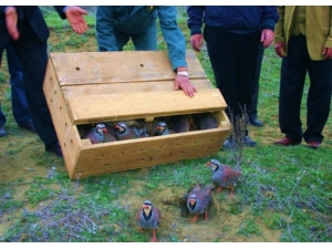 Ordu’da Kene İle Mücadele Sürüyor