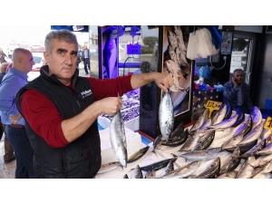 Trabzon’da Palamutta Sezonun En Verimsiz Günü Yaşanıyor