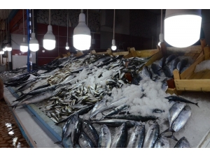 Balıkçıların Gözü Hamside