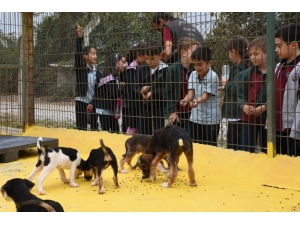 Su Damlası Miniklerinden Hayvan Barınağı’na Ziyaret