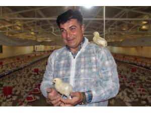 Yöneticiliği Bıraktı, Aldığı Destekle Kendi İşinin Patronu Oldu