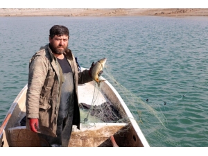 Denize Kıyısı Olmayan Yozgat’tan Avrupa Ve Orta Doğu Ülkelerine Balık İhracatı