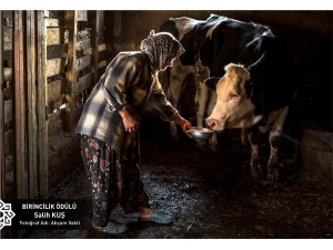 Karesi Belediyesinin Fotoğraf Yarışması Sonuçlandı