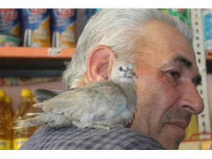 Gugukçukla Bakkalın Dostluğu Şaşırtıyor