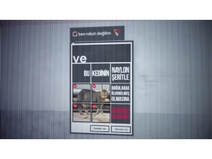 Vestel Ve Regal’e 4 Kristal Elma