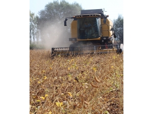 Iğdır’da İlk Kez Soya Hasadı
