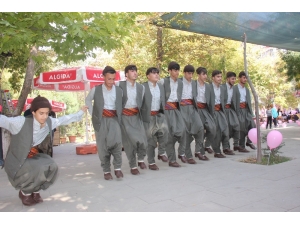 Bingöl’de Meme Kanserine "Halayla" Dikkat Çekildi