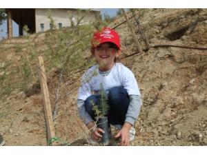 Üniversite Ve Anaokulu Öğrencileri Mesire Alanına Fidan Dikti