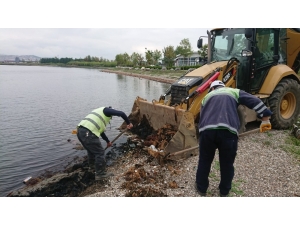 Kocaeli Sahillerinden 4 Günde 12 Kamyon Çöp Temizlendi
