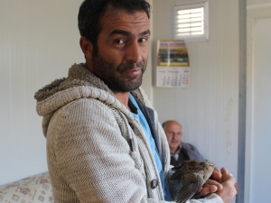 Yaralı Bıldırcına Şefkat Eli Uzattılar