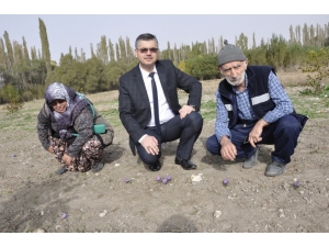 Safran Eskişehir’de Çiçek Açtı