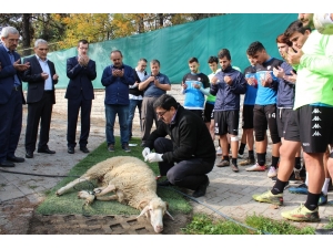 Karabükspor, Kurban Kesti